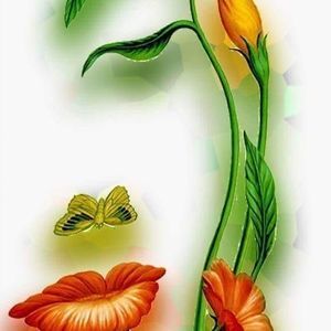 Meet your Posher, Graciela